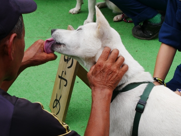   お城の動物園　あやめ と さつき　　２０１９-０８-２９　００：００ 　　 　_b0093754_23170682.jpg