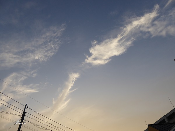 c0222861_1938426.jpg