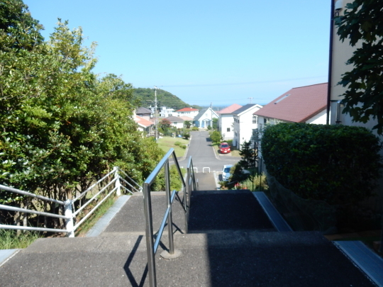 ’19,8,26(月)再び「風と共に去りぬ!」_f0060461_16565134.jpg