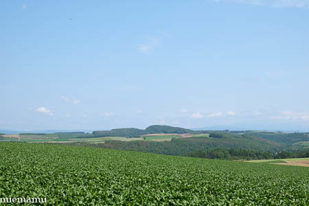 d0340565_20034948.jpg