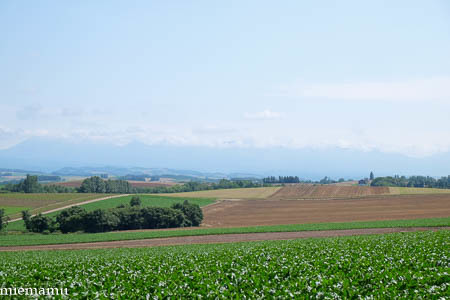 d0340565_20035738.jpg