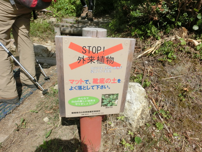 b0185573_116466.jpg