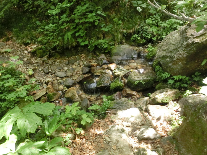 b0185573_13432389.jpg