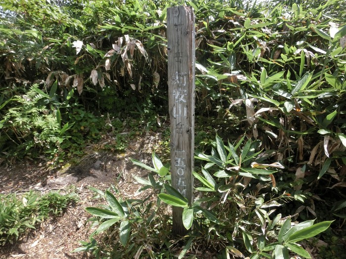 b0185573_14321330.jpg