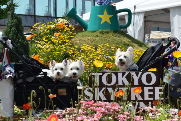 b0242873_10311630.jpg