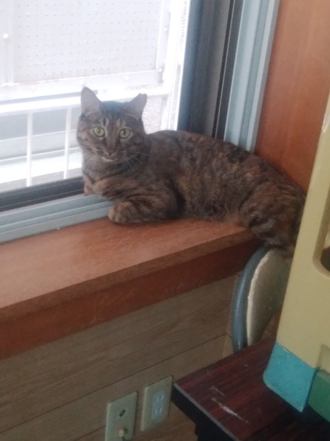 c0268274_10145589.jpeg