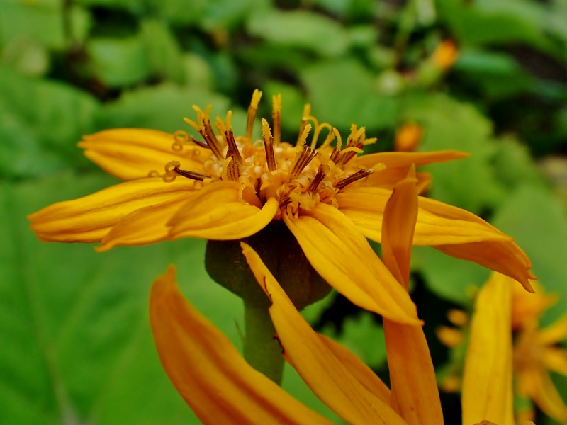 c0183777_8382539.jpg