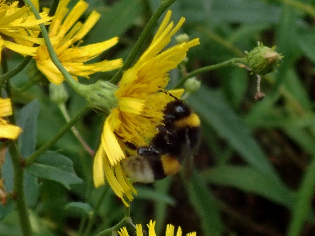 c0183777_9144677.jpg