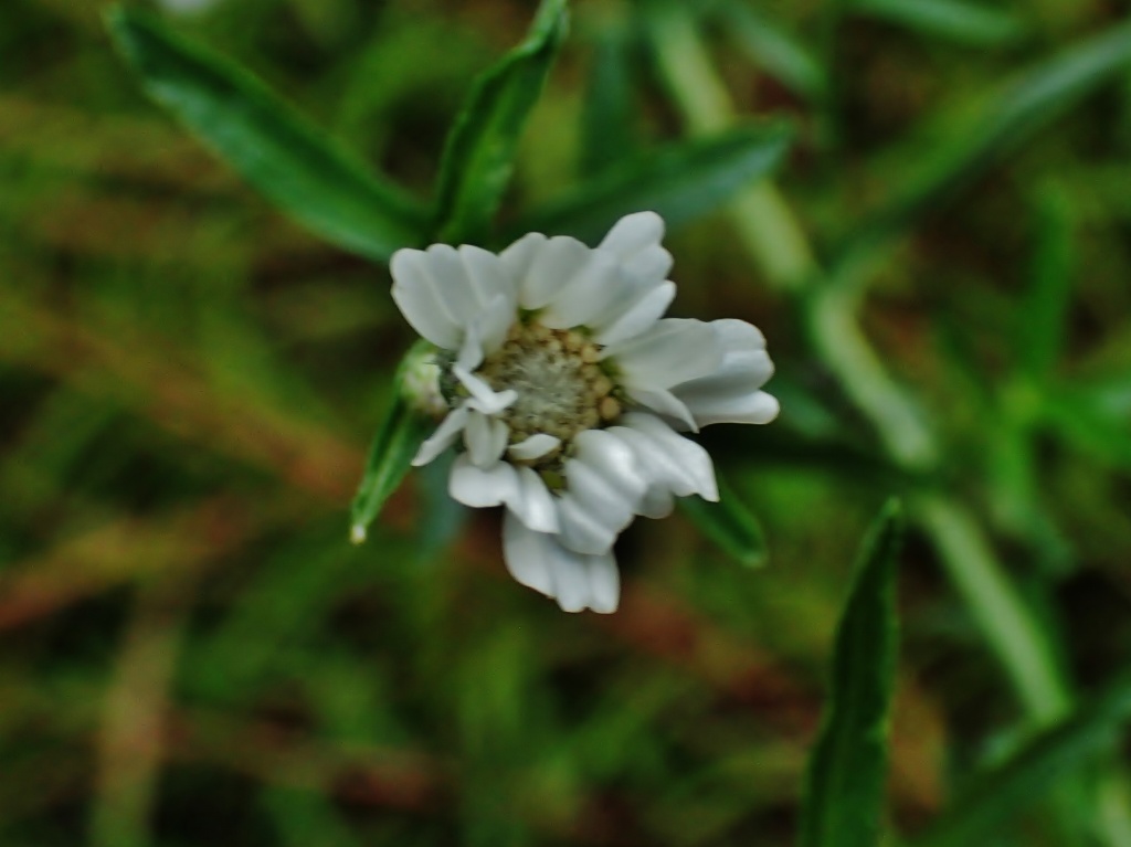 c0183777_9392189.jpg