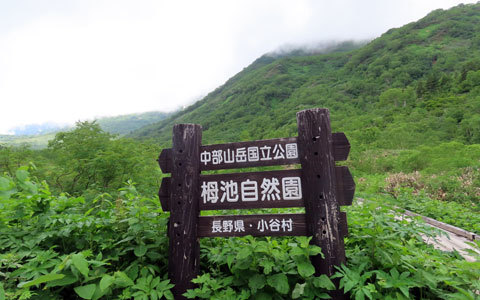f0083977_05342672.jpg