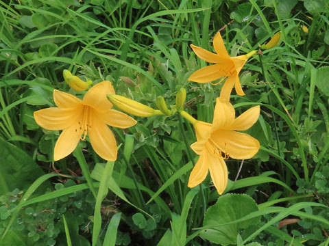 f0083977_07000150.jpg