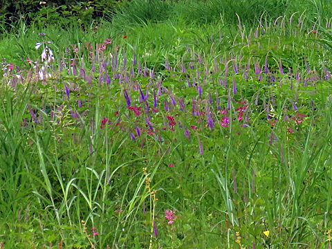 f0083977_14143022.jpg