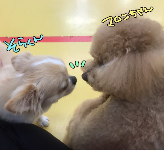 友達100人でっきるっかな?_f0357682_03545717.jpg