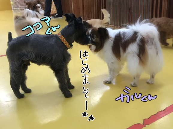 友達100人でっきるっかな?_f0357682_03550044.jpg