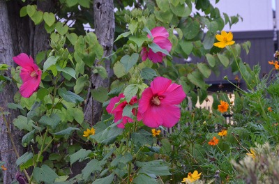 c0229483_10223651.jpg