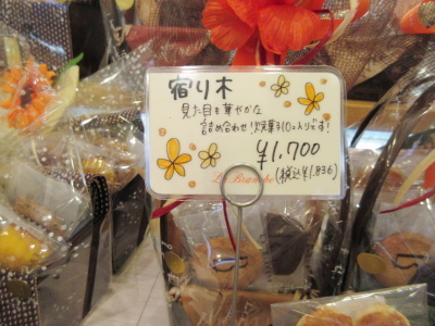 宿り木_a0171984_18491694.jpg