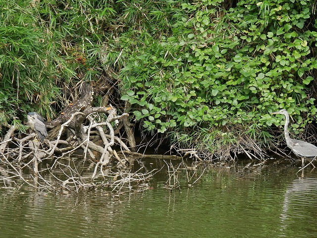 d0088184_23193334.jpg