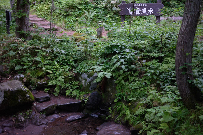b0339488_21065866.jpg