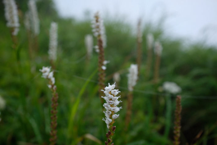 b0339488_21072420.jpg