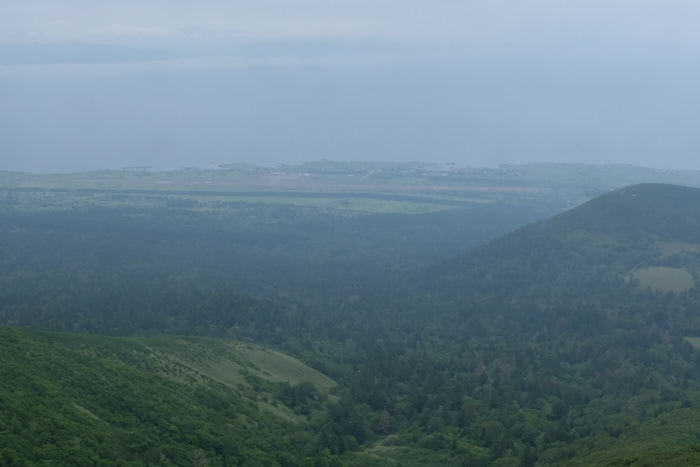 b0339488_21075130.jpg