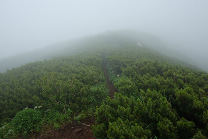 b0339488_21545283.jpg