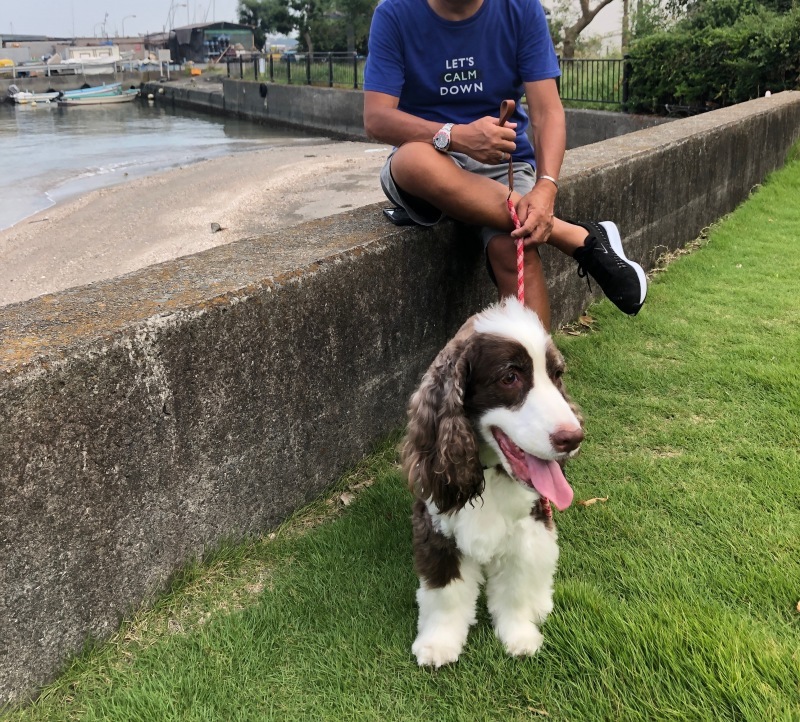 One day  /   8月のある平日・・・・・・・・・_b0195093_09110270.jpg