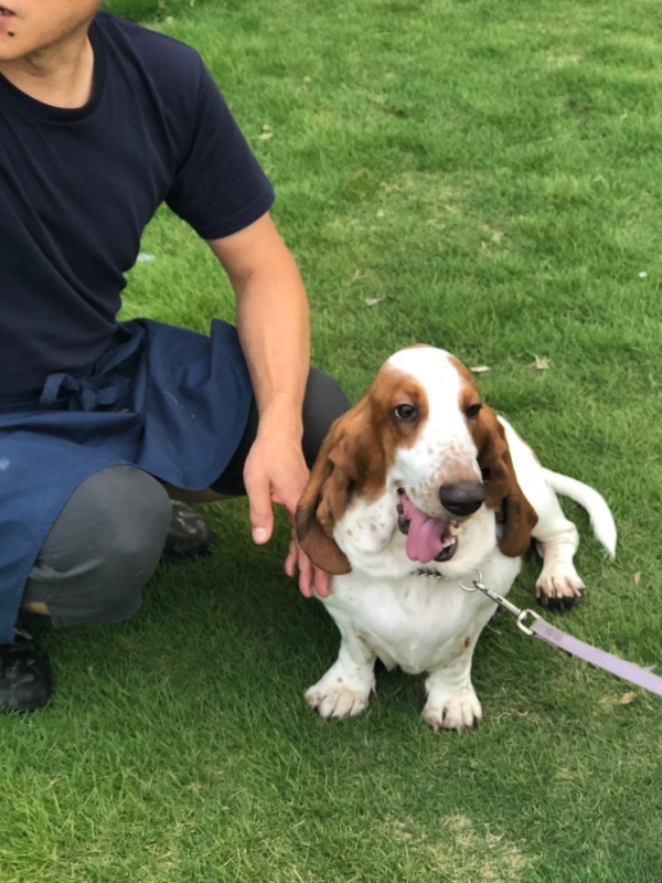 One day  /   8月のある平日・・・・・・・・・_b0195093_09124859.jpg