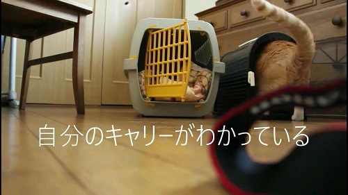 行き先は???_a0333195_17021684.jpg