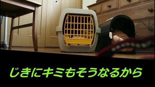 行き先は???_a0333195_17045807.jpg