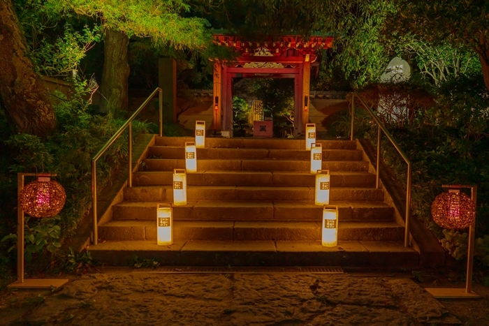 かまくら長谷の灯かり2019 鎌倉大仏殿高徳院・光則寺・長谷寺のライトアップ_b0145398_22012144.jpg