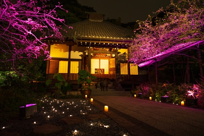 かまくら長谷の灯かり2019 鎌倉大仏殿高徳院・光則寺・長谷寺のライトアップ_b0145398_22013715.jpg