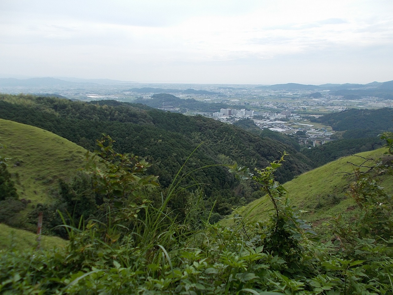 媼婆ケ岩(南国市)_f0308898_18353207.jpg