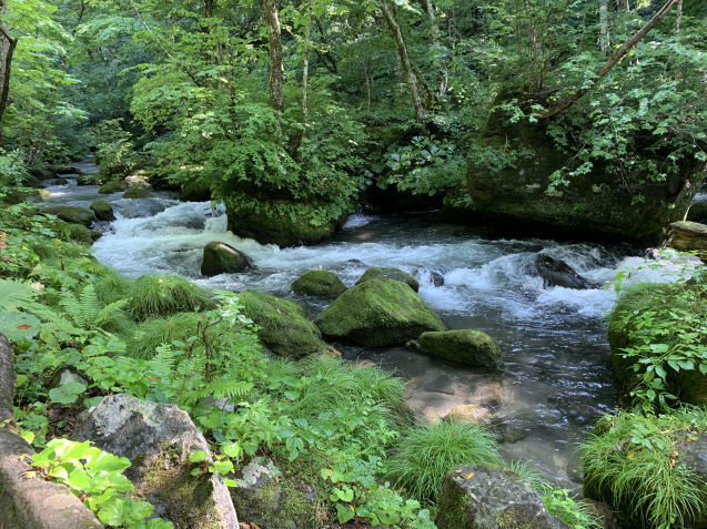 b0162000_12175068.jpg