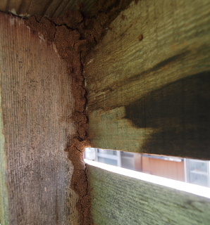 c0039501_15091345.jpg
