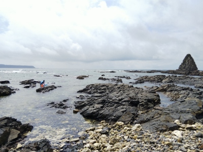 b0040606_1236559.jpg