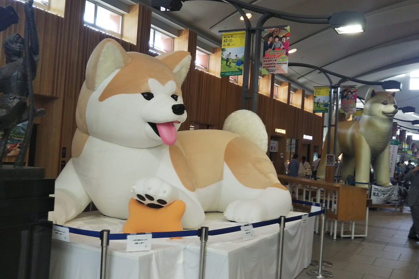 西日に輝く日本海 - 2014年・奥羽本線 -_b0190710_21015870.jpg