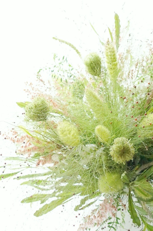 b0151911_09313905.jpg