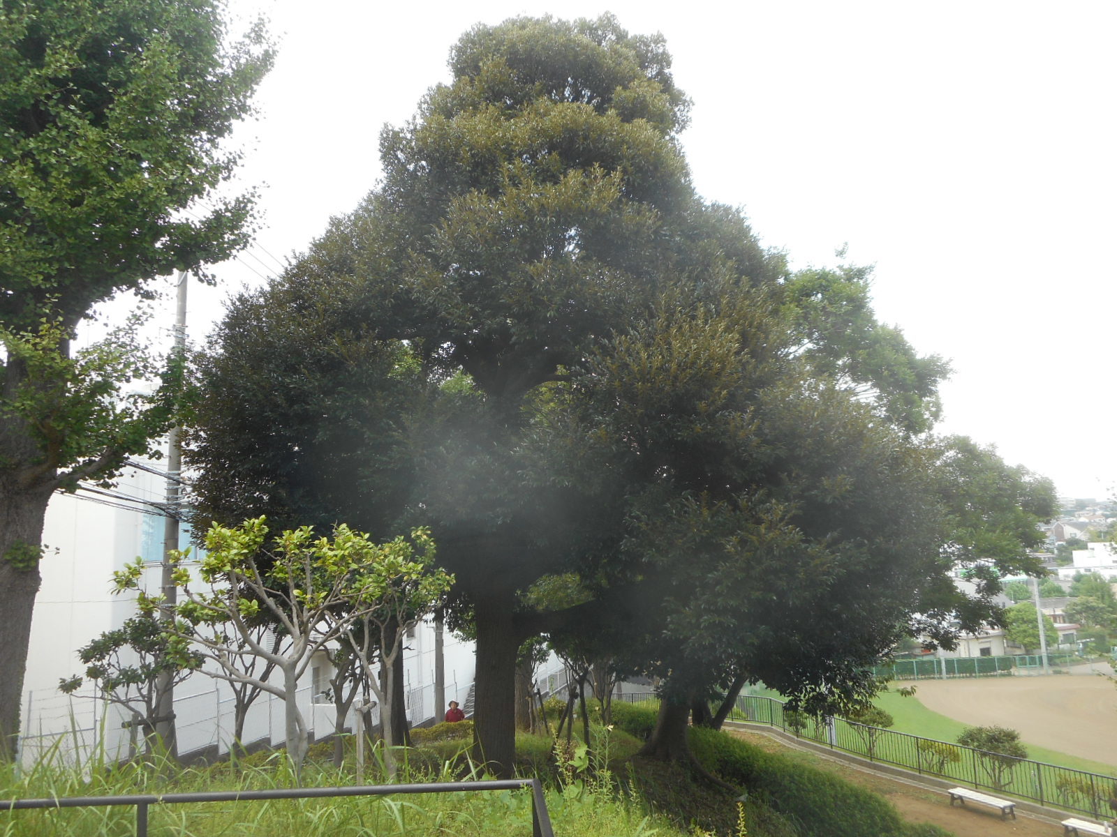 f0334619_14022313.jpg