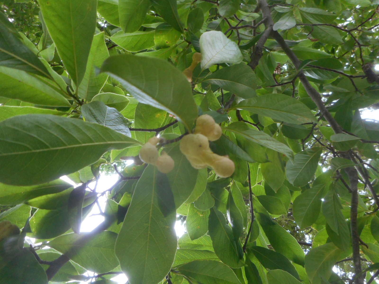 f0334619_14022350.jpg