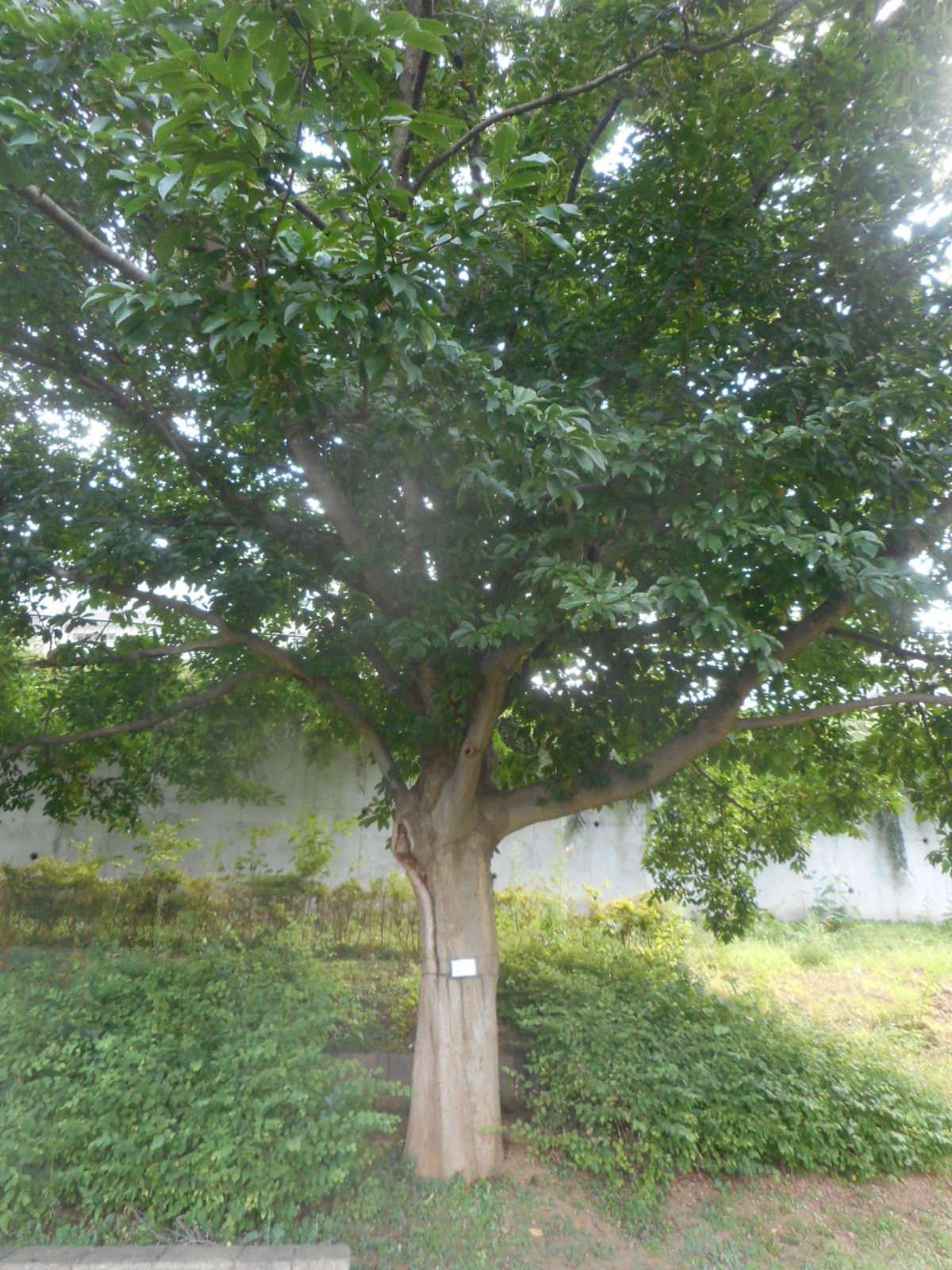 f0334619_14431733.jpg