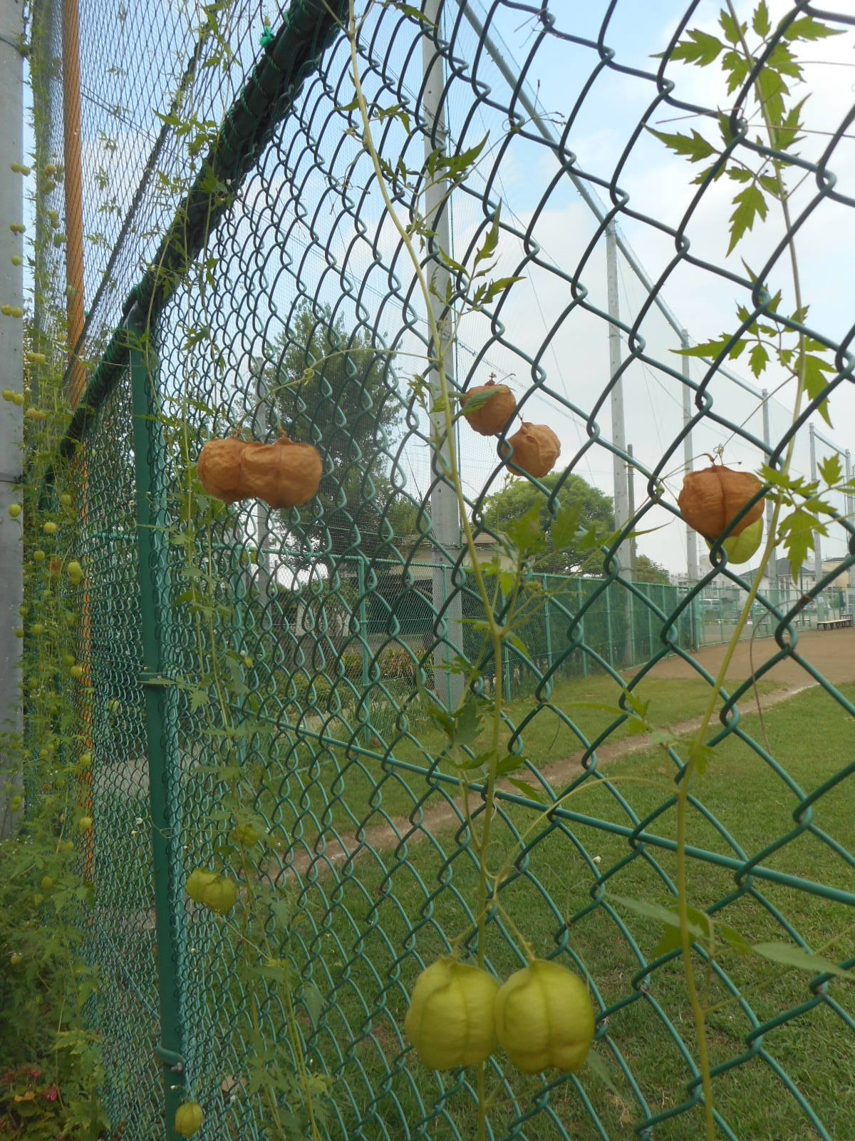 f0334619_14543482.jpg