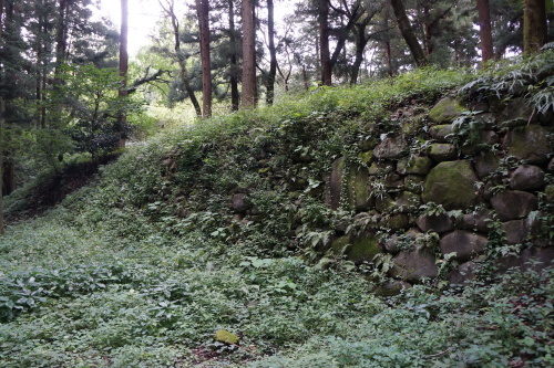 箕輪城と楽山園を訪ねる　バス見学会のお知らせ_a0384920_06473431.jpg