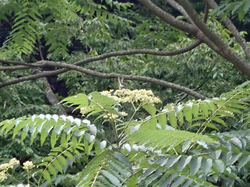 f0177529_21505761.jpg