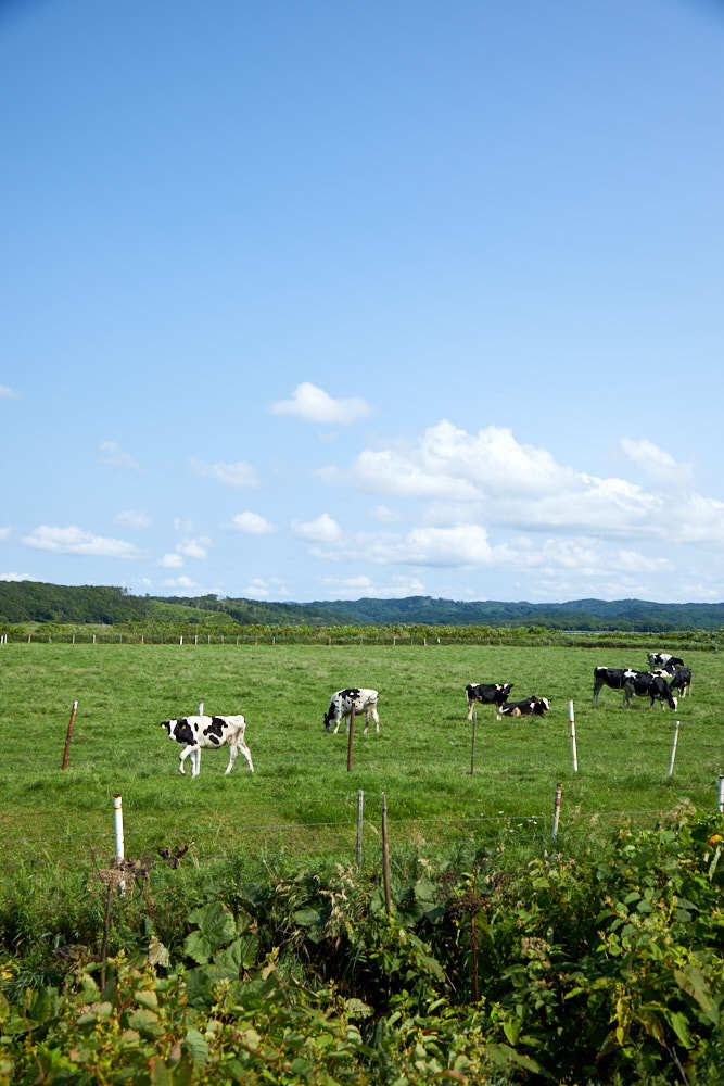 d0139939_12340389.jpg