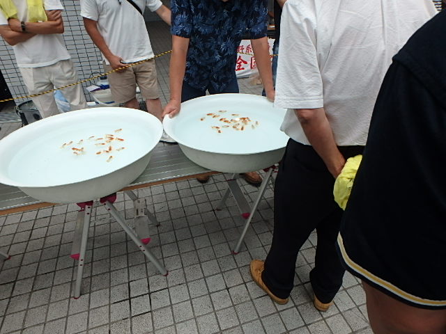f0334143_12253679.jpg