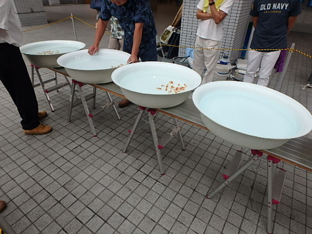 f0334143_12254552.jpg