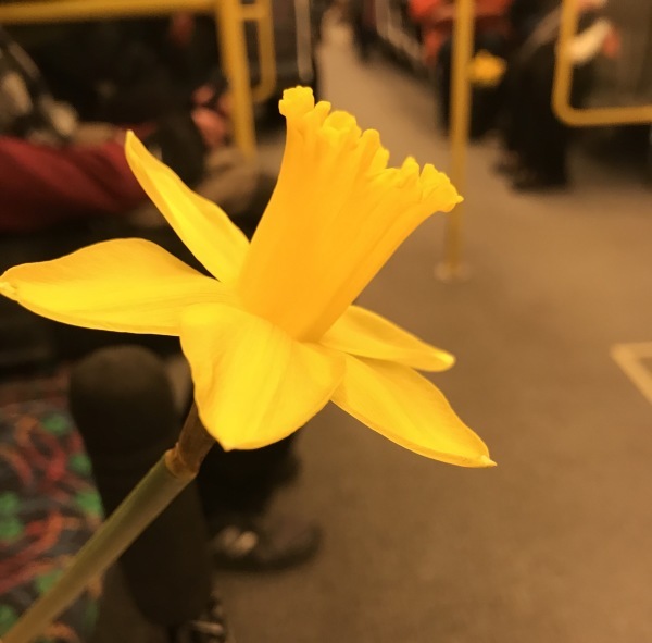 f0304452_23364752.jpeg
