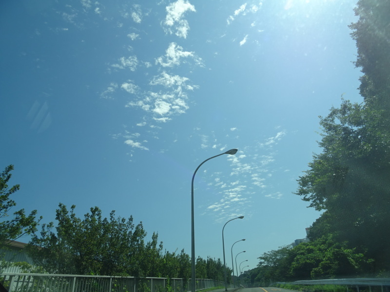 c0108460_14041428.jpg