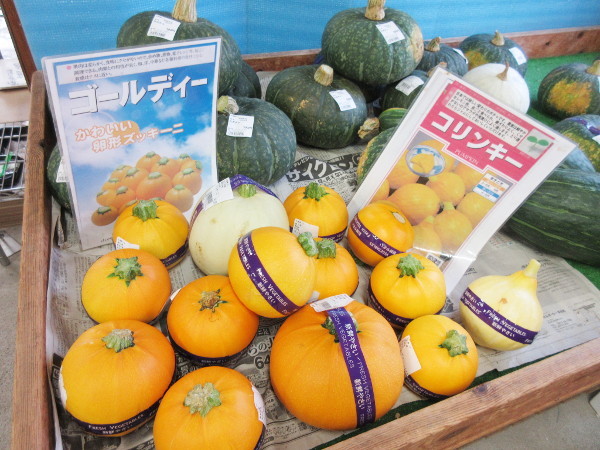 岐阜県の道の駅めぐり@岐阜でごはん2019夏_c0152767_21064266.jpg