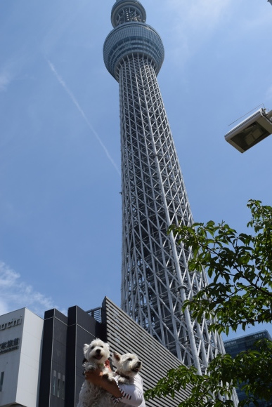 b0242873_22090122.jpg